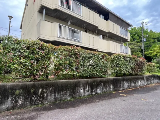 【綺麗な生垣作ります】お気軽にご相談ください！！サービスの画像