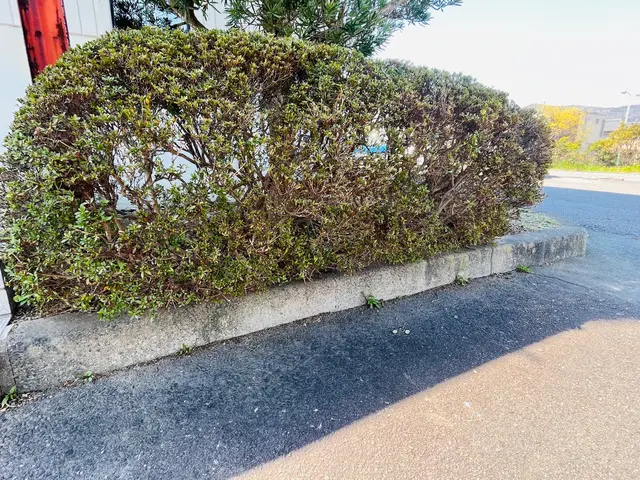 【綺麗な生垣作ります】お気軽にご相談ください！！サービスの画像