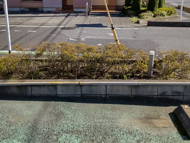 【業歴40年二代目店長】お庭と植木に合わせたお手入れとアドバイスいたしますサービスの画像