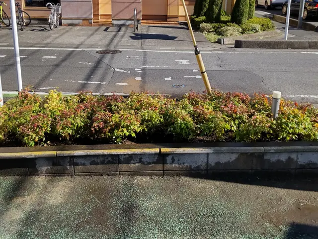 【業歴40年二代目店長】お庭と植木に合わせたお手入れとアドバイスいたしますサービスの画像