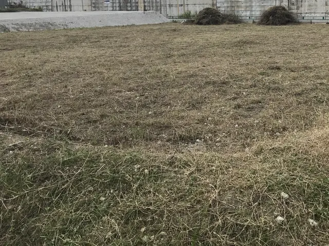 自治体施設でも実績あり！丁寧な仕上がりに定評の草刈りサービスサービスの画像