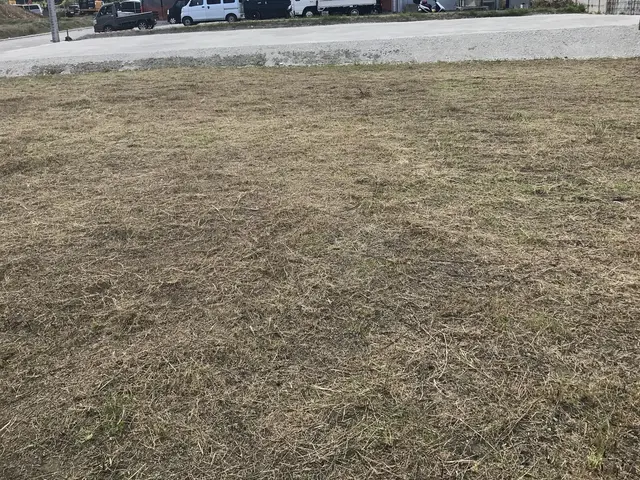 自治体施設でも実績あり！丁寧な仕上がりに定評の草刈りサービスサービスの画像