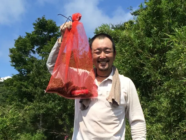任せて安心♪駆除経験豊富！大きな巣や高所作業もお気軽にお問い合わせ下さいサービスの画像