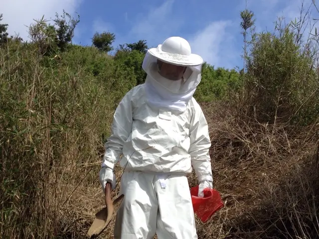 任せて安心♪駆除経験豊富！大きな巣や高所作業もお気軽にお問い合わせ下さいサービスの画像