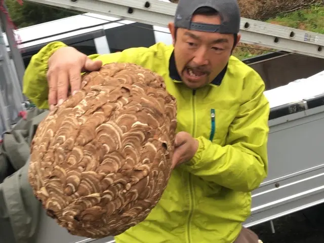 任せて安心♪駆除経験豊富！大きな巣や高所作業もお気軽にお問い合わせ下さいサービスの画像