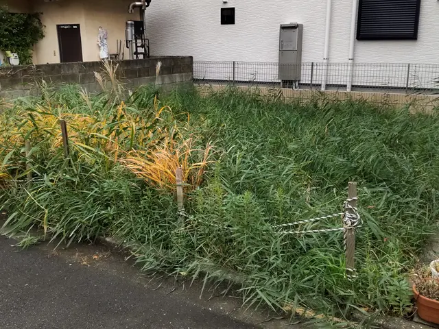 【業歴20年】いつも元気に楽しく仕事しています。お気軽にお声かけください。サービスの画像