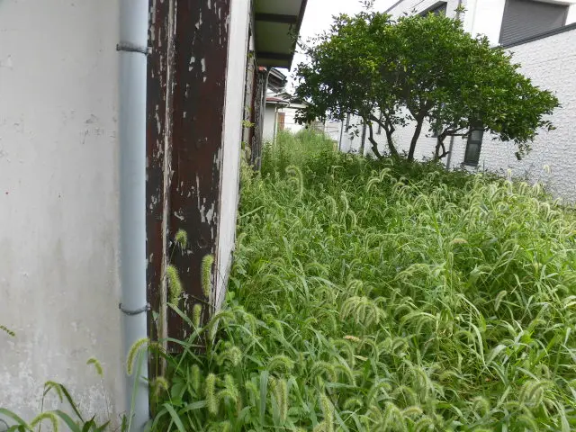 １１月～空きあり《仕上がり重視で自信あり！》お任せ下さいサービスの画像