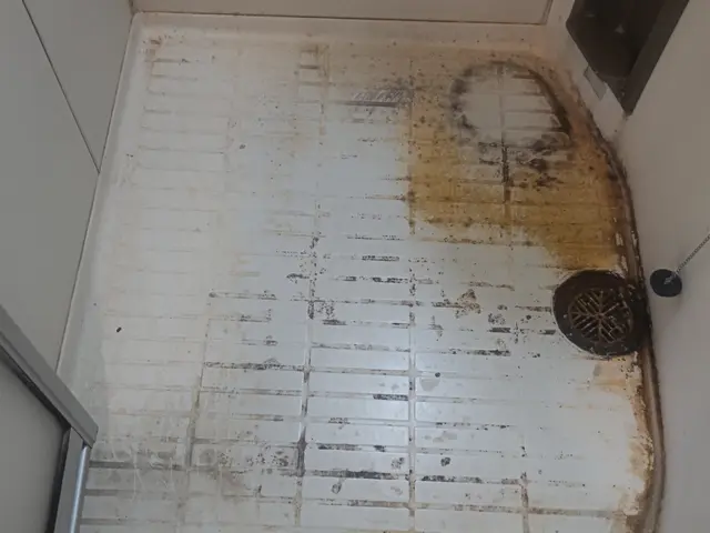 【ハウスクリーニング士】豊富な経験で安心！仕上がり重視で丁寧に施工いたしますサービスの画像