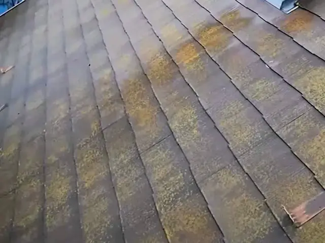 国家資格 一級建築塗装技能士が塗る★建築塗装歴25年★損害保険加入！完全自社対応サービスの画像