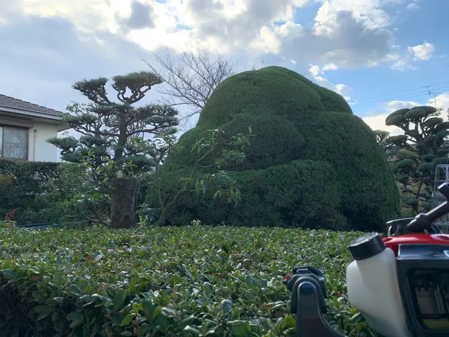 個人宅　企業　店舗　マンションなどの植栽管理ならお任せください！！サービスの画像