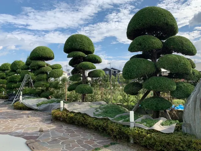 個人宅　企業　店舗　マンションなどの植栽管理ならお任せください！！サービスの画像