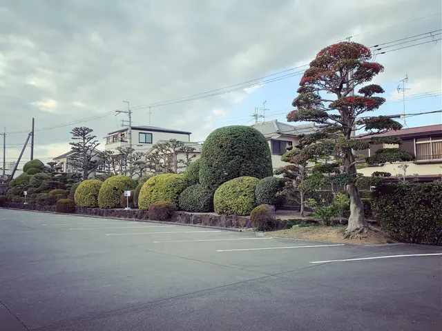 個人宅　企業　店舗　マンションなどの植栽管理ならお任せください！！サービスの画像