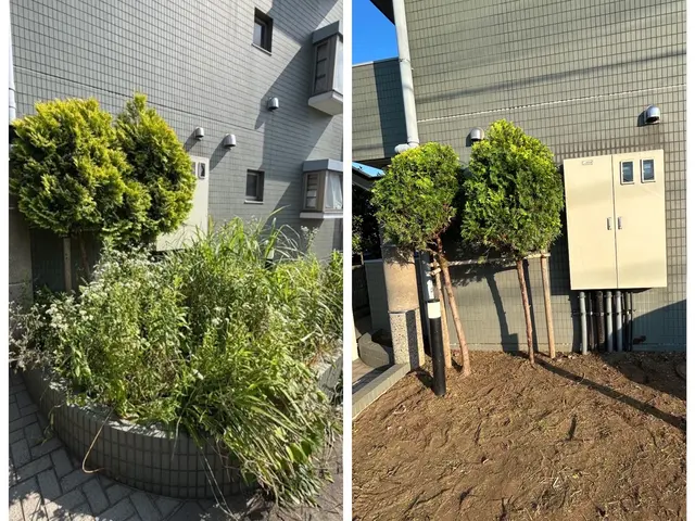 【圧倒的な提案力と説明力！】元サラリーマンだからこその丁寧説明◎植物が大好きですサービスの画像