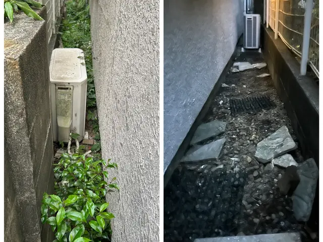 【圧倒的な提案力と説明力！】元サラリーマンだからこその丁寧説明◎植物が大好きですサービスの画像