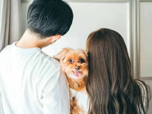 【愛おしい瞬間を形に】自然なおふたりを残します！ペットも一緒に♪サービスの画像