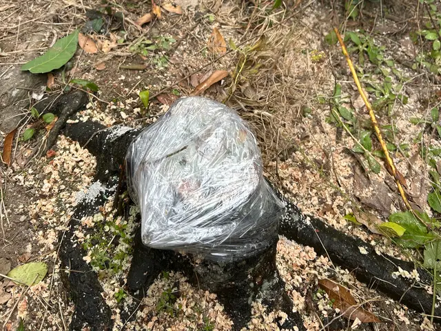 【リピーター率抜群！】お客様ファーストで頑張ります！サービスの画像