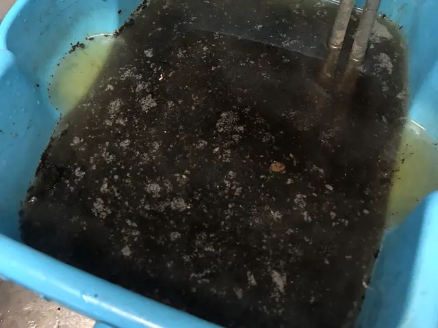 《先行セール！》午後、夕方に空きあり、レンジフードクリーニングサービスの画像