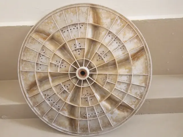 縦型洗濯機（乾燥機能無し限定）完全解体クリーニングサービスの画像