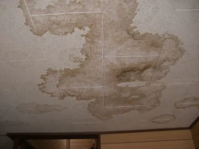 【損保加入・完全自社施工で安心安全】土日祝も対応・クレジットカード使用可能◎サービスの画像