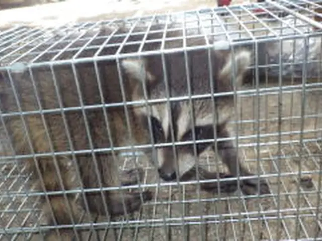 【損保加入・完全自社施工で安心安全】土日祝も対応・クレジットカード使用可能◎サービスの画像