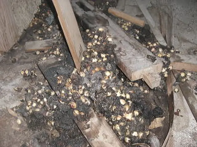 【損保加入・完全自社施工で安心安全】土日祝も対応・クレジットカード使用可能◎サービスの画像