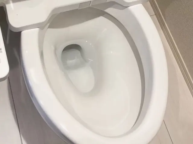 美白！日常の汚れをスッキリ！洗面所クリーニングとセットで更にお得！サービスの画像