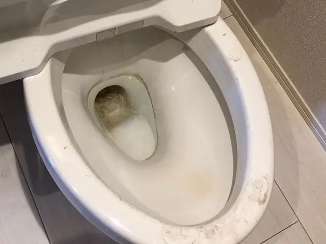 美白！日常の汚れをスッキリ！洗面所クリーニングとセットで更にお得！サービスの画像