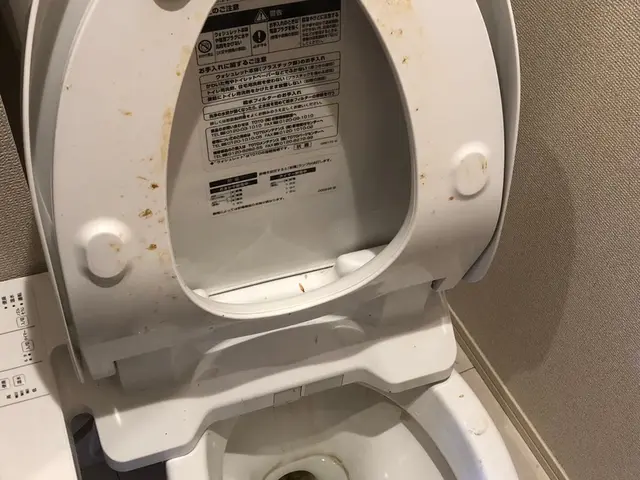 美白！日常の汚れをスッキリ！洗面所クリーニングとセットで更にお得！サービスの画像