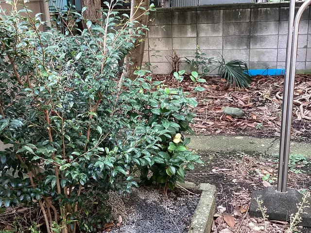 お庭のレイアウトまでセンス良く！ゴミ代駐車場代込み880円/㎡。サービスの画像