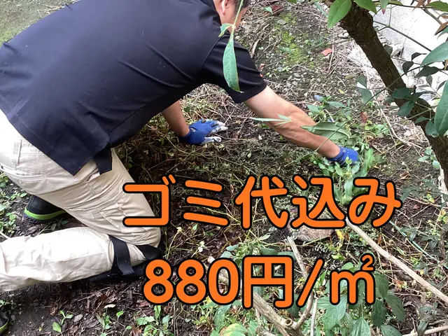 お庭のレイアウトまでセンス良く！ゴミ代駐車場代込み880円/㎡。サービスの画像