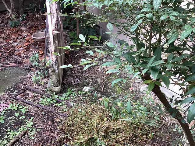 お庭のレイアウトまでセンス良く！ゴミ代駐車場代込み880円/㎡。サービスの画像