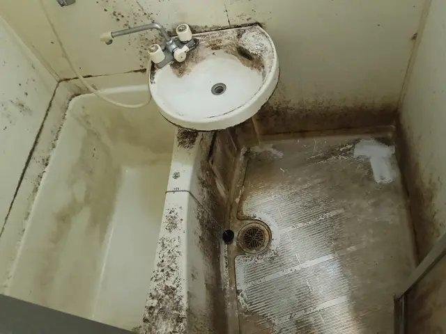 空室クリーニングサービスの画像