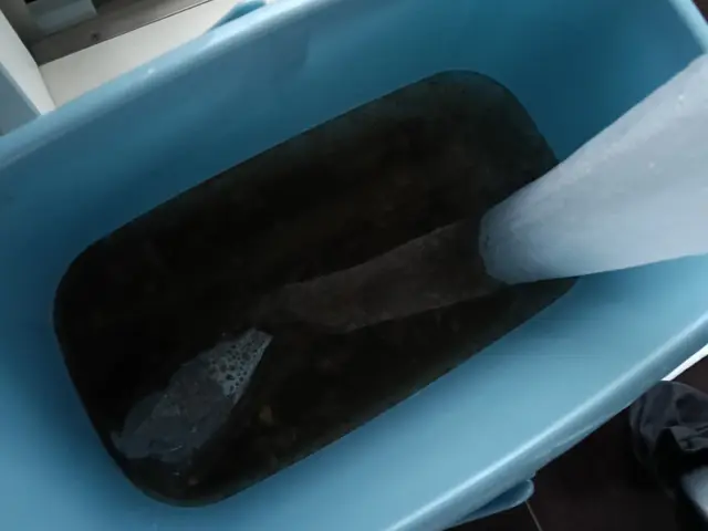 空室クリーニングサービスの画像