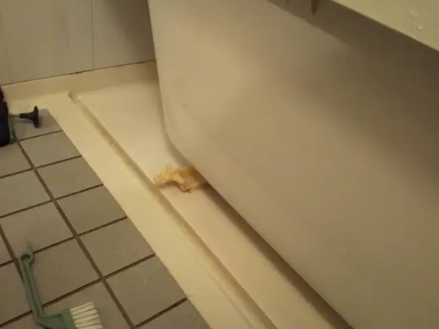 大掃除期間セット価格4,000円引き¥25,000☆注意事項をご確認ください☆サービスの画像