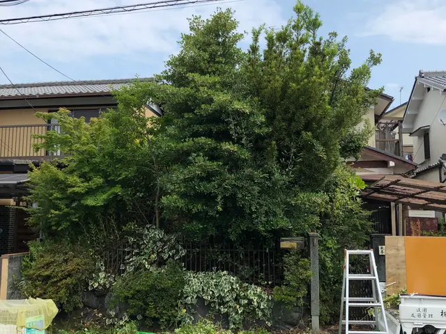 【女性スタッフ同行可能】◎お値段以上！！風通しのよい、スッキリしたお庭をお約束！サービスの画像