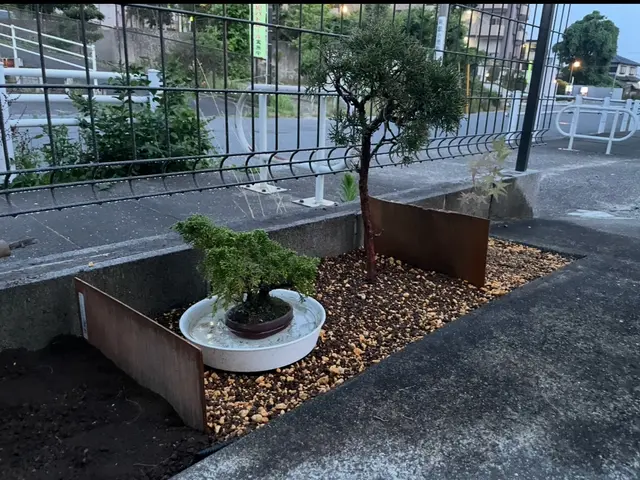 鉢の植え替え2鉢から承ります！複数の場合は割引致します！サービスの画像