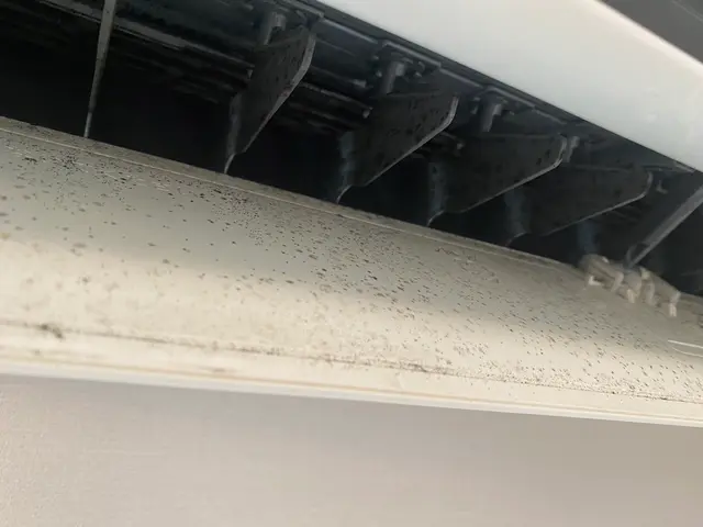 ☆【鍛えられた技術と知識のスペシャリストが担当！】【2台以上で7700円！】☆サービスの画像