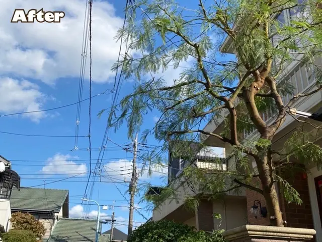 【植木の町川口安行発】●早く綺麗に極上仕上げ●お洒落センス抜群●親切丁寧100点サービスの画像