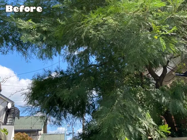 【植木の町川口安行発】●早く綺麗に極上仕上げ●お洒落センス抜群●親切丁寧100点サービスの画像