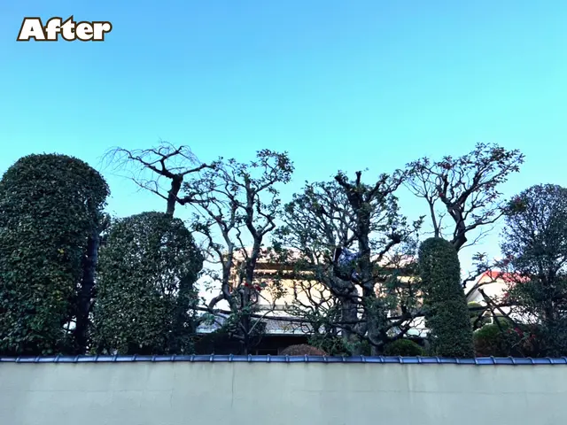 【植木の町川口安行発】●早く綺麗に極上仕上げ●お洒落センス抜群●親切丁寧100点サービスの画像