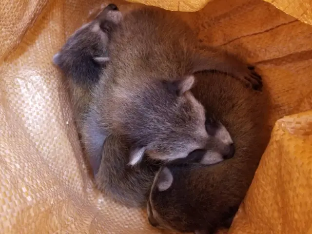 ★豊富な経験・実績★良心的な価格と丁寧な施工をお約束◎年中無休で営業中！！サービスの画像