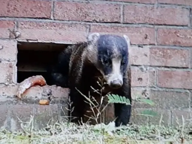 ★豊富な経験・実績★良心的な価格と丁寧な施工をお約束◎年中無休で営業中！！サービスの画像