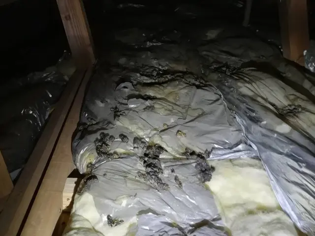 ★豊富な経験・実績★良心的な価格と丁寧な施工をお約束◎年中無休で営業中！！サービスの画像