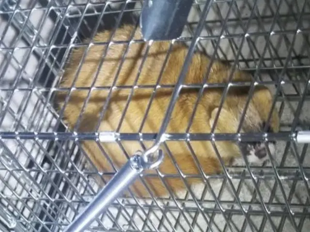 ★豊富な経験・実績★良心的な価格と丁寧な施工をお約束◎年中無休で営業中！！サービスの画像