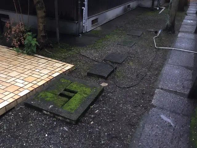 除草致します。サービスの画像