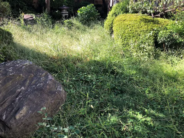 除草致します。サービスの画像