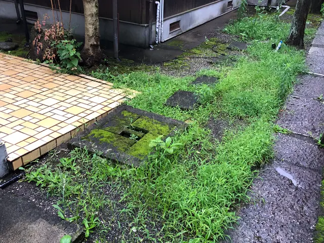 除草致します。サービスの画像