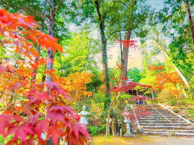 女性カメラマンが動画を撮影いたします！