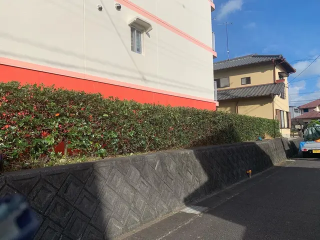 木の剪定　伐採サービスの画像