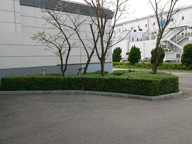 １級造園技能士職歴30年の実績、個人邸から企業の植栽管理迄ご相談下さい。    サービスの画像